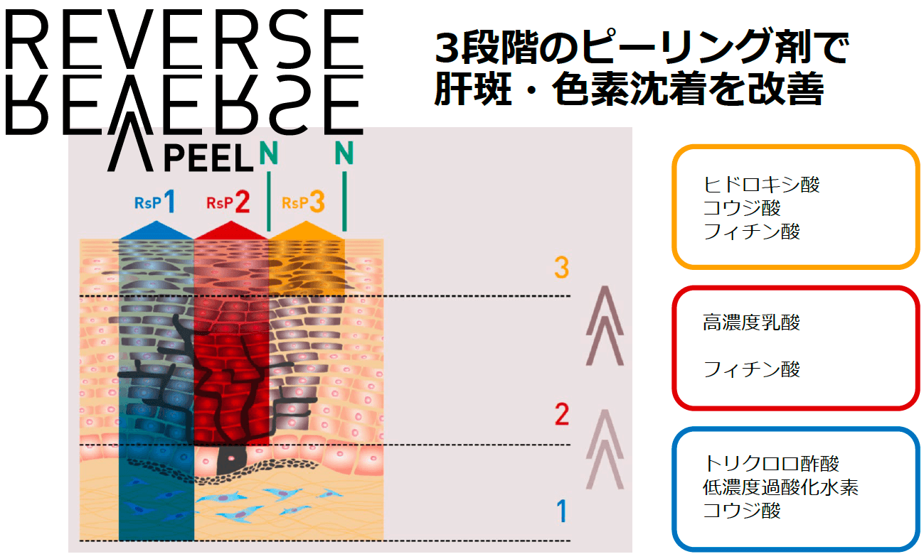 リバースピールの効果