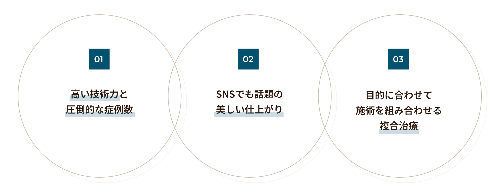 高い技術力と圧倒的な症例数・SNSでも話題の美しい仕上がり・目的に合わせて施術を組み合わせる複合治療