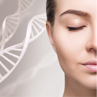 ポリヌクレオチド