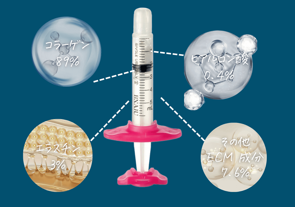 ブナジュの主要成分