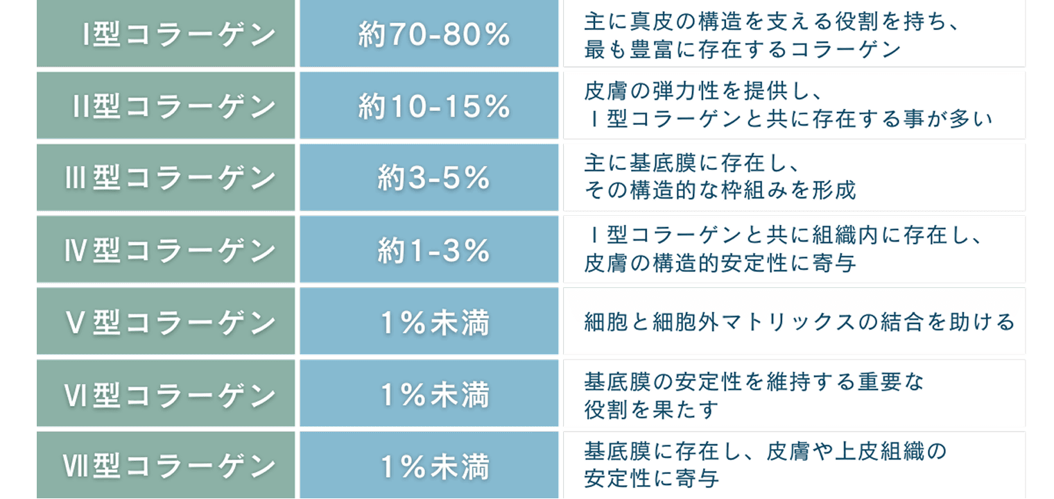 コラーゲン型の成分表