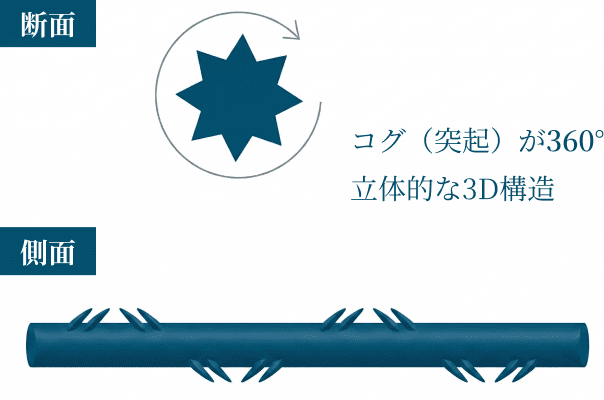 360度立体3D構造