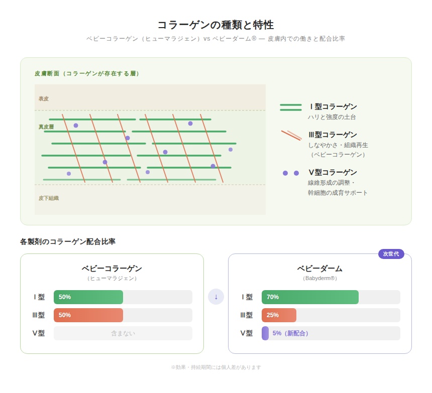 コラーゲンの種類と特性 ベビーコラーゲン（ヒューマラジェン）vs ベビーダーム 皮膚内での働きと配合比率