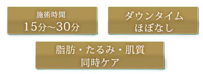 施術時間15分~30分 ダウンタイムほぼなし 脂肪・たるみ・肌質 同時ケア
